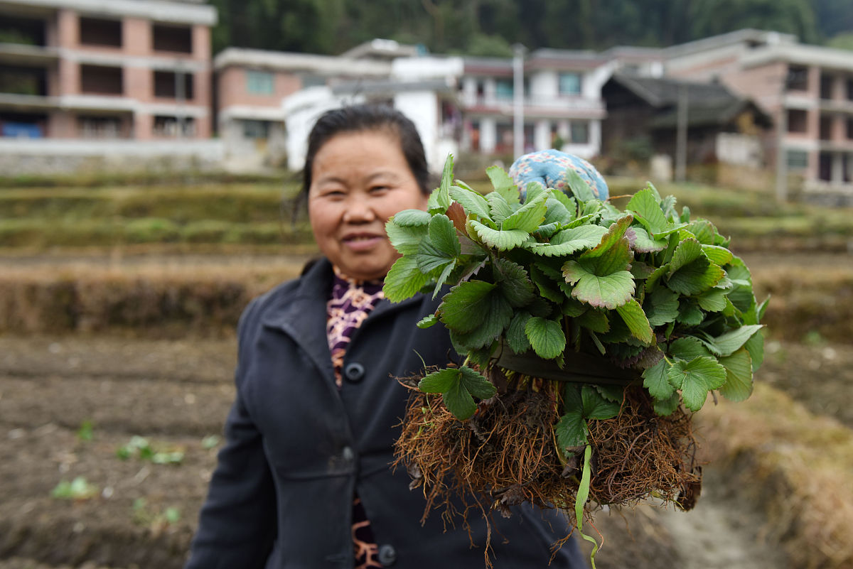 贵州社区公共事务管理专业哪个学校好？贵州大学值得推荐