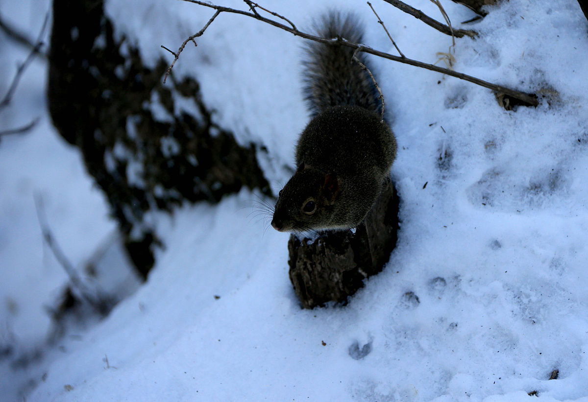 深度冷静：拥抱冬日，享受慢生活