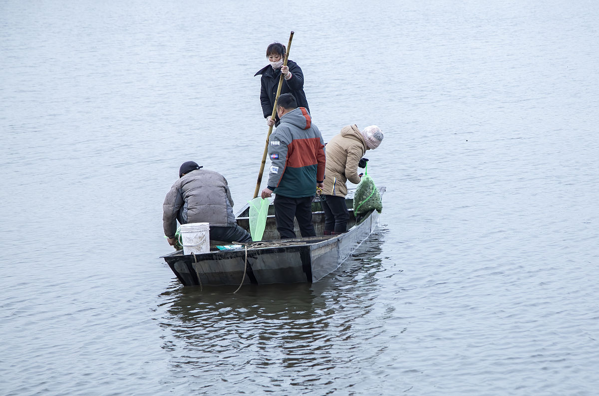 智能化水产养殖创业：机遇、战略和未来发展规划