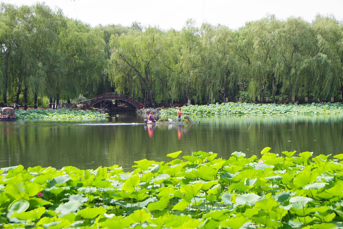 校园里，那如诗如画的风景