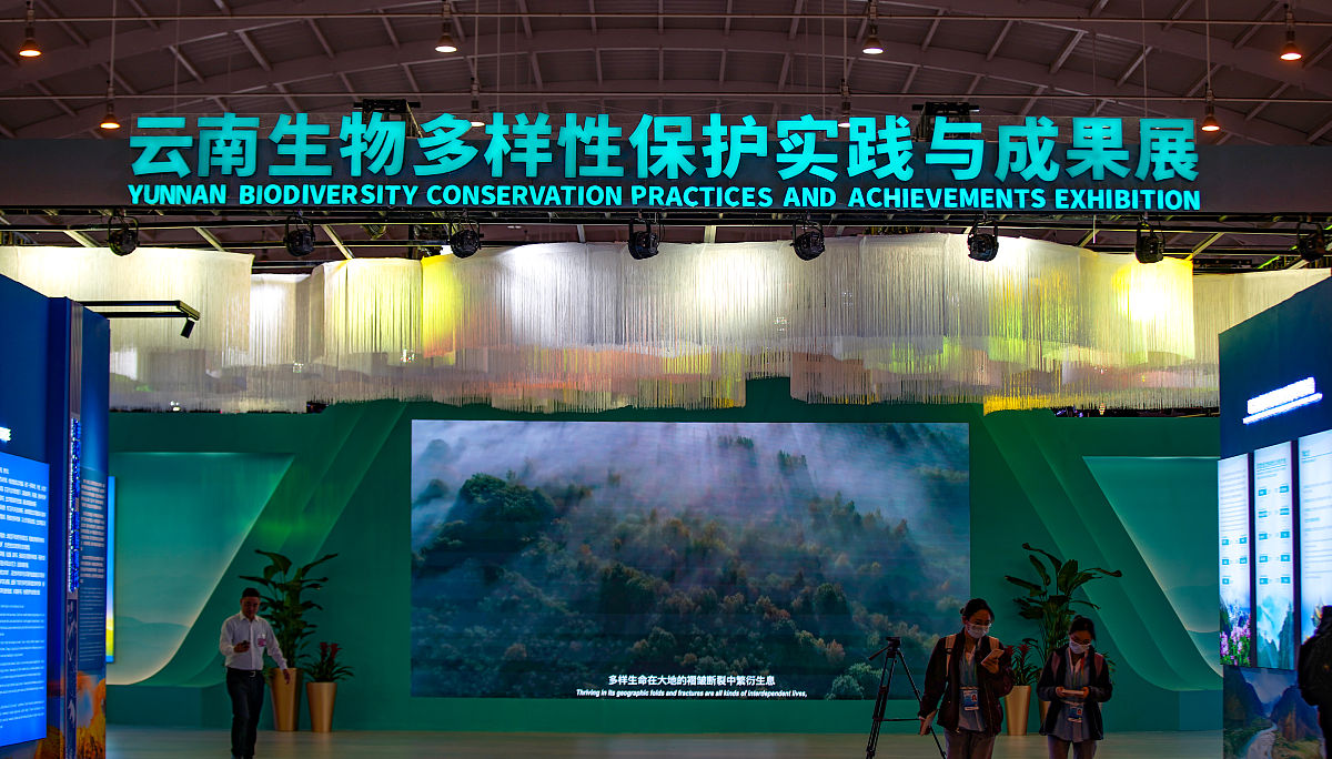 2021年10月14日,昆明,《生物多样性公约》第十五次缔约方大会(cop15)