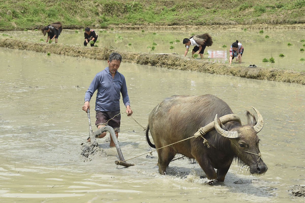 贵阳电子职业学校2019年护理专业招生简介