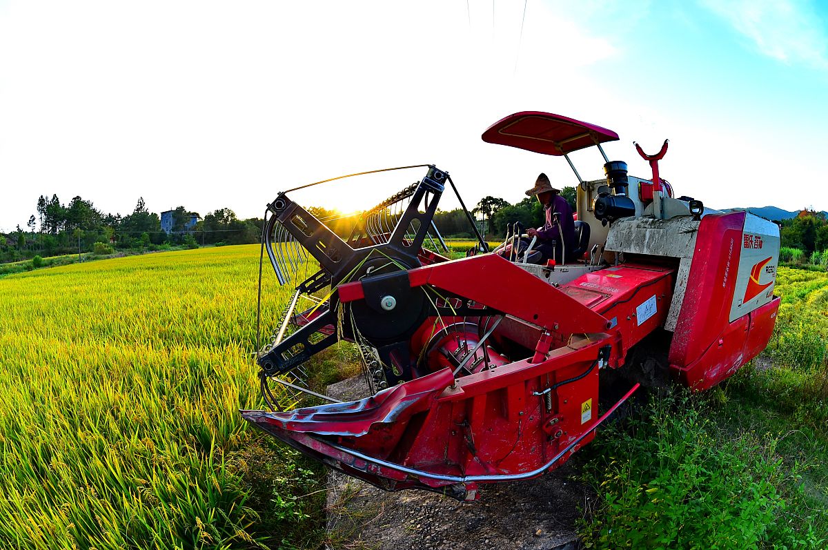 培田古村落调查报告感谢村民支持