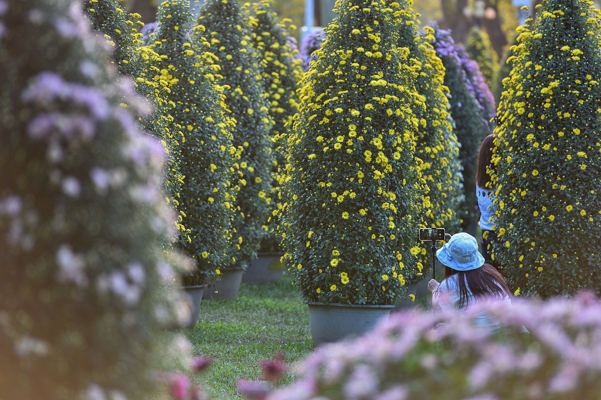 根据下面描述进行进行探讨：各个指标的权重设置：讨论各个指标在综合评价方法中的权重设置。可以探讨不同指标在不同器官或不同应用场景中的重要性并提出合理的权重分配方式。同时可以讨论不同权重对最终评价结果的影响。