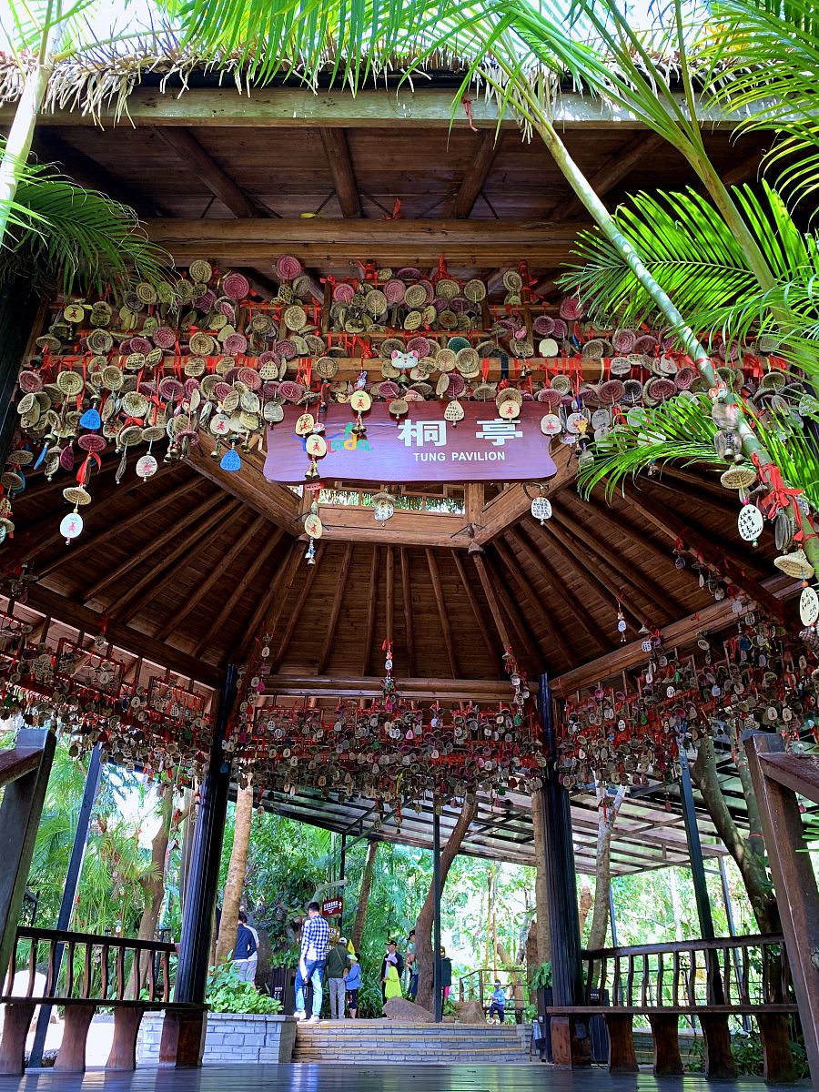 海南软件职业技术学院旅游管理专业怎么样？ - 培养高素质旅游管理人才