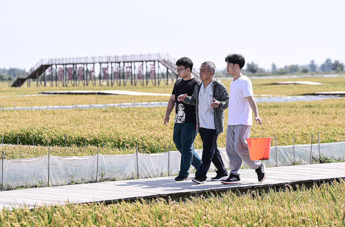 内蒙古农业大学设施农业科学与工程专业怎么样？优势解析
