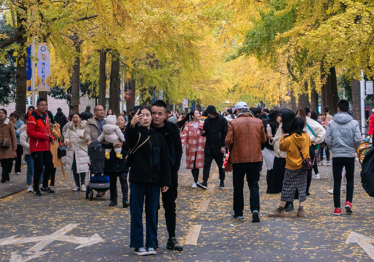 2022四川专升本院校对应院校