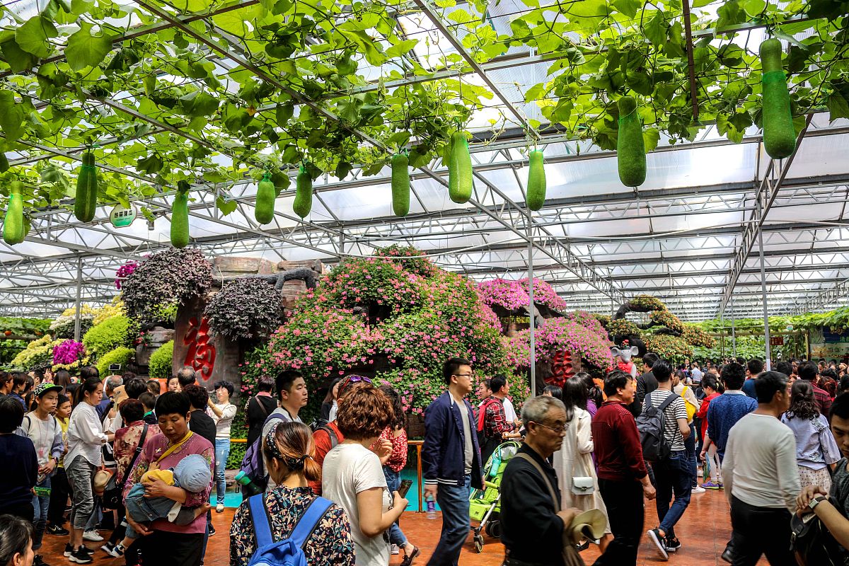 潍坊菜博会附近有哪些著名风景区