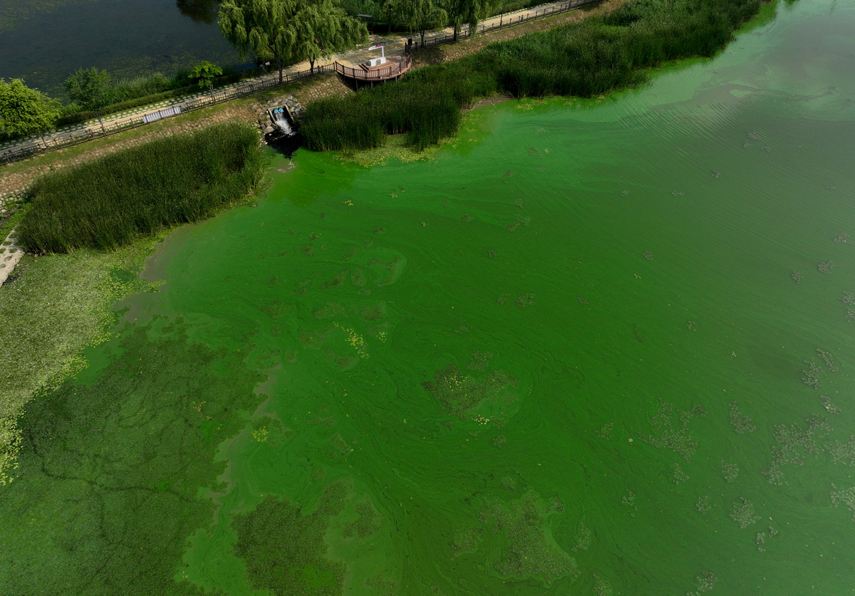 太湖生态清淤底泥固结余水处理水污染监测与治理研究