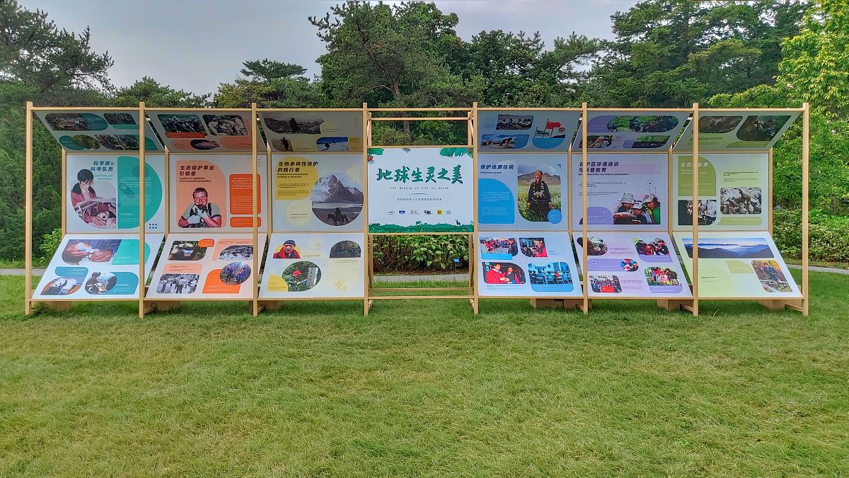 乡村科普语言再语境化：方法与技巧