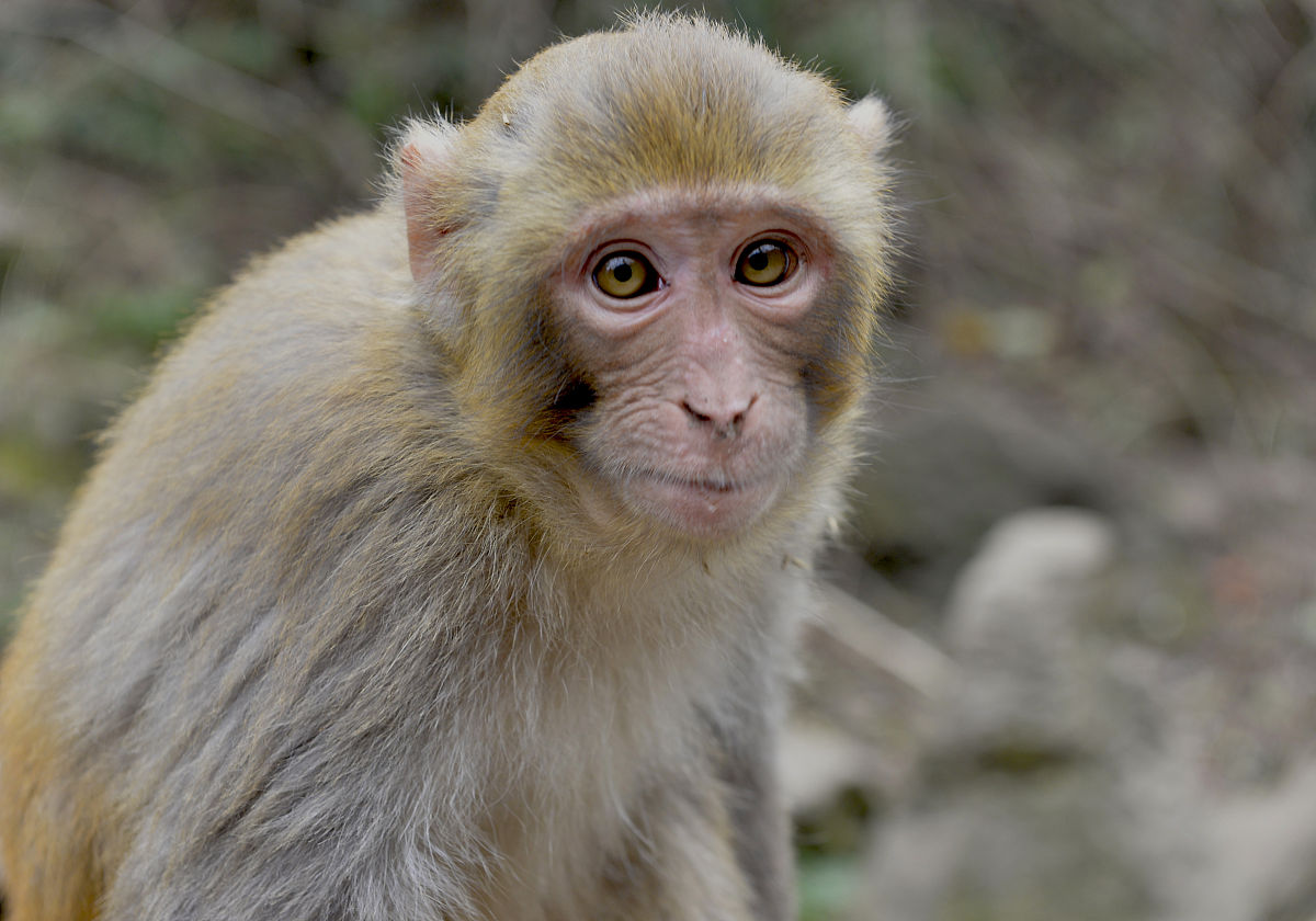 初中生读贵阳幼师学校是3+2年制大专吗