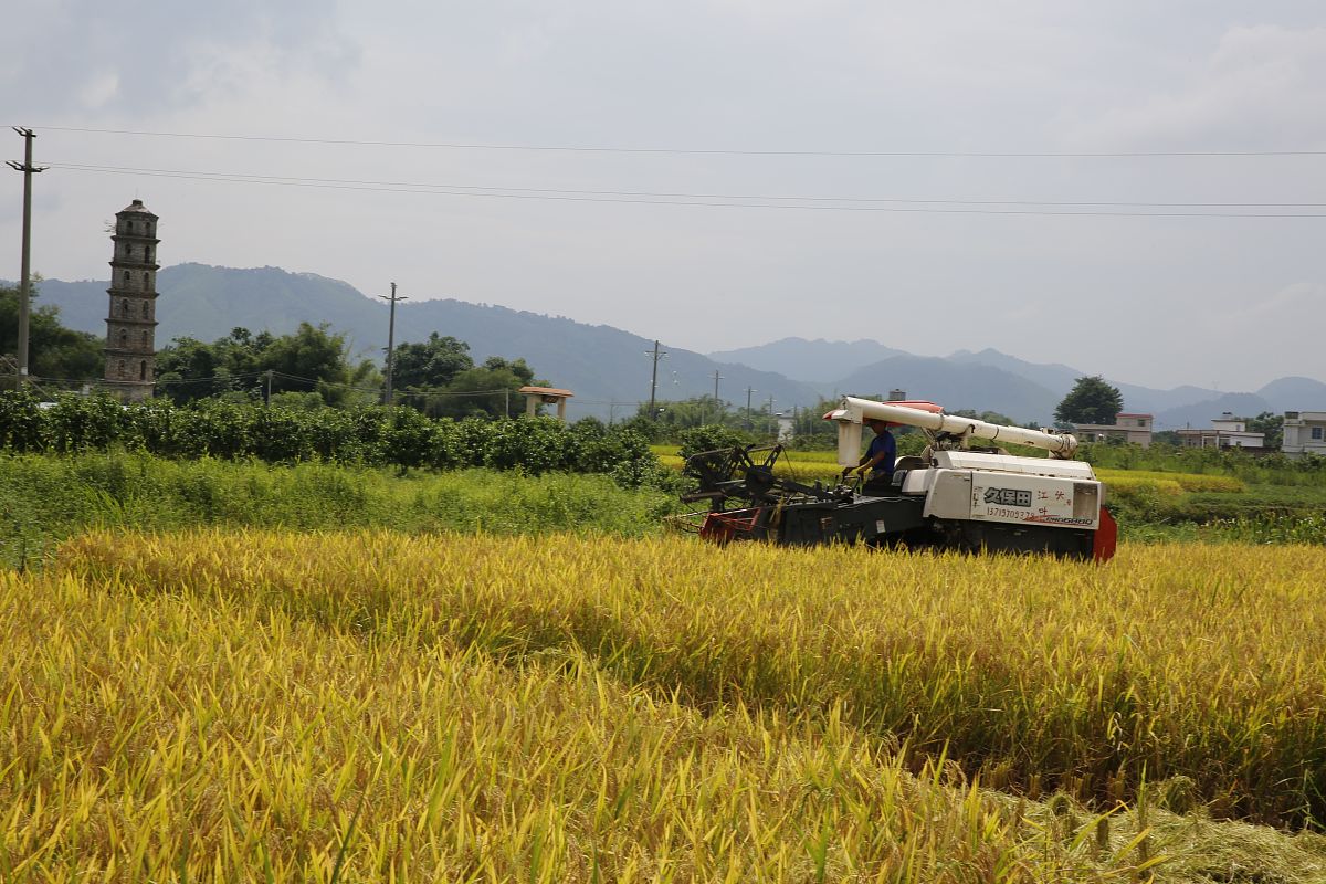 2021年武汉农业学校有哪些招生专业