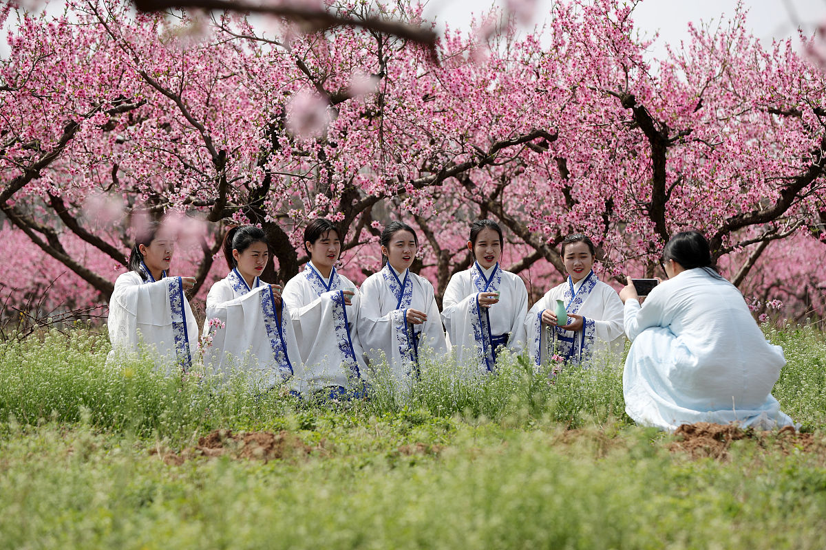 帮我写一份主持稿
