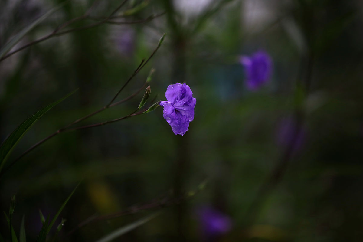我是华佑装饰的文案设计师请帮我写十段关于白露节气的朋友圈营销文案要求标点符号用微信表情符号代替且文案意思与装饰公司有关联。