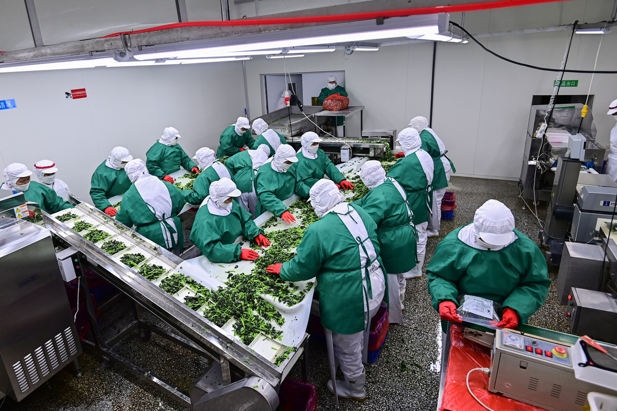 食品生物工艺专业学些什么用发