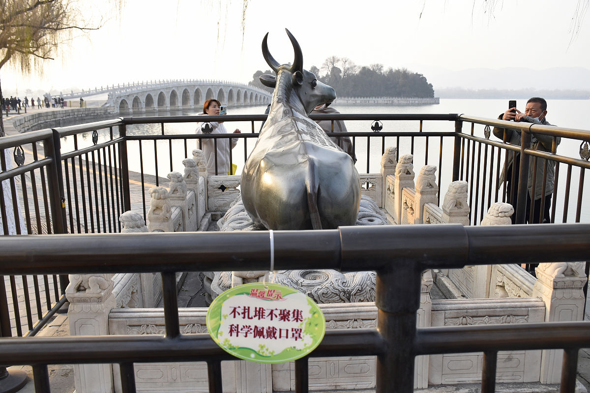 延安市A猪场生猪传染性肠胃炎综合防治措施：从饲养管理到对症治疗
