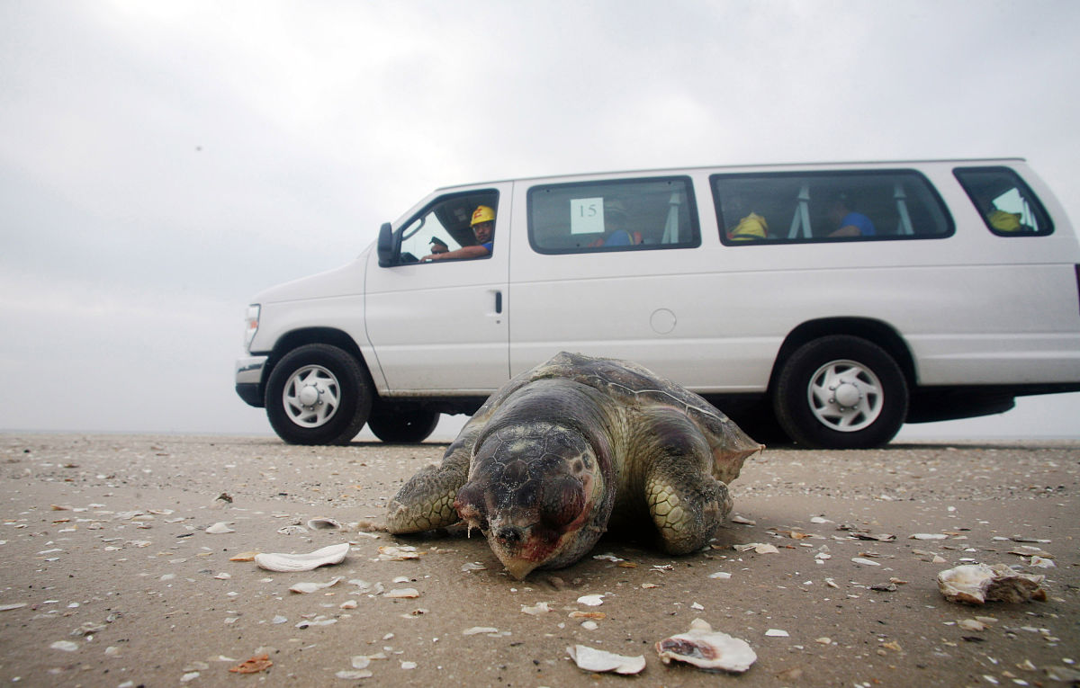 完井时间：了解油气井生产启动的关键节点