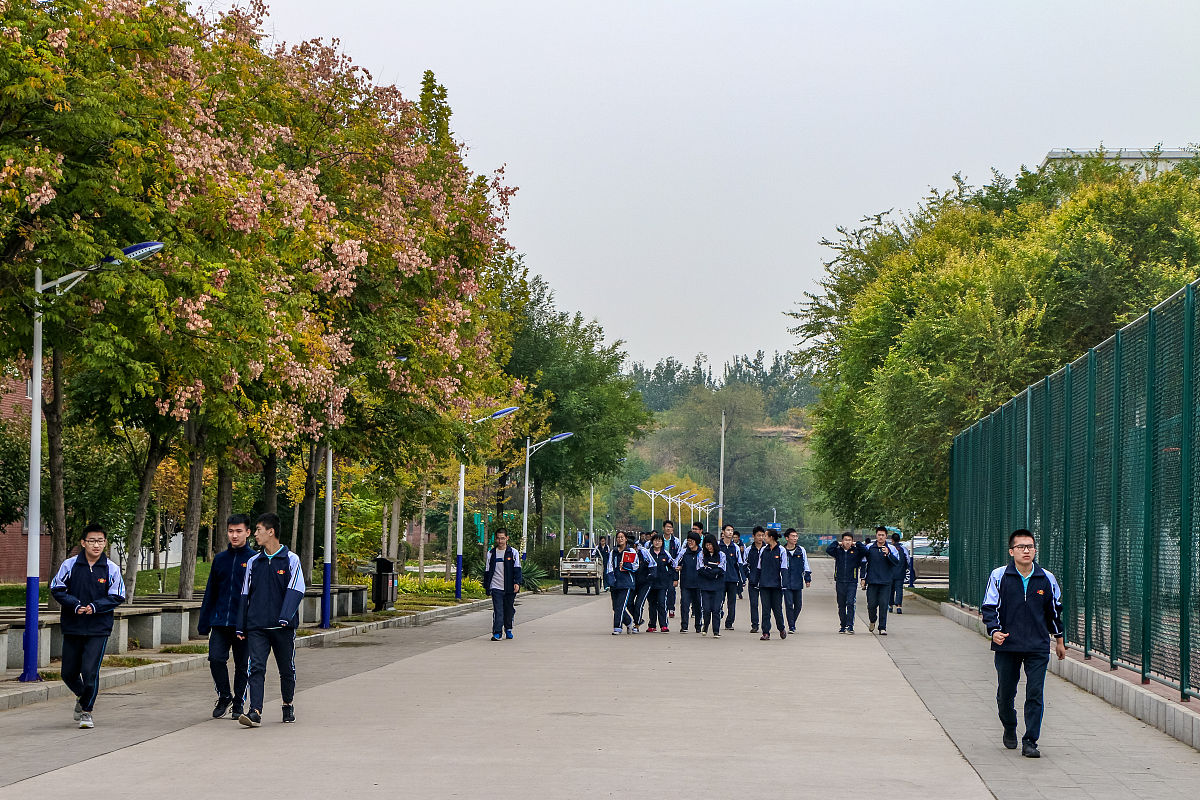 兰州园艺学校现代林业技术专业怎么样