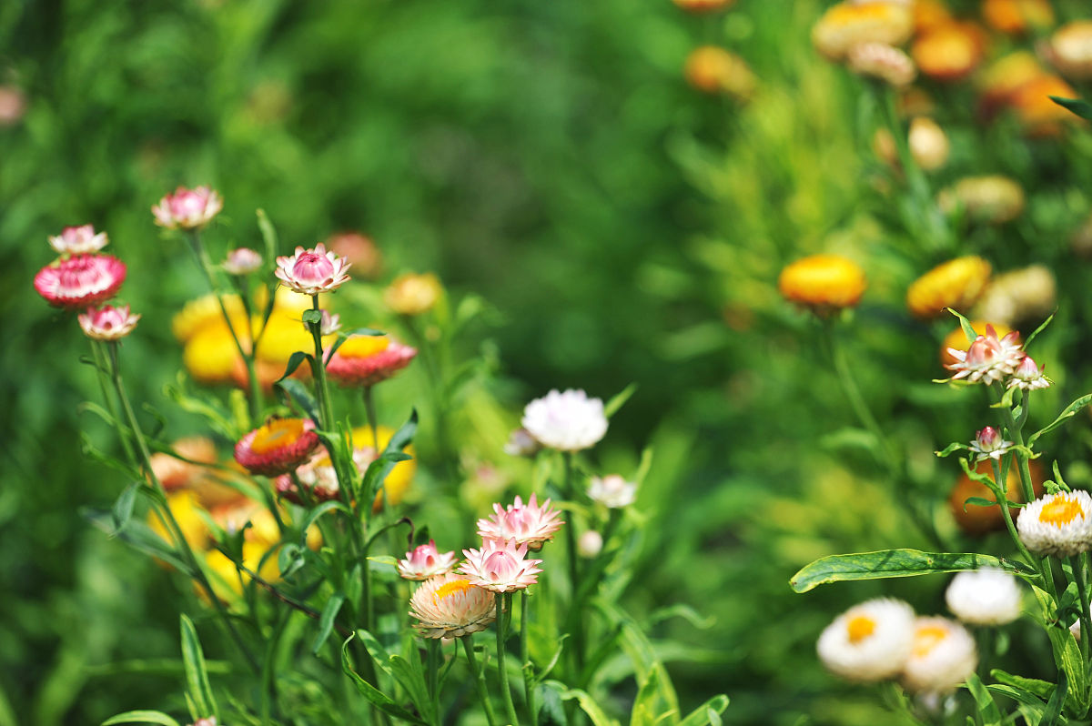 2021年曲靖农业学校普通中专招生简章