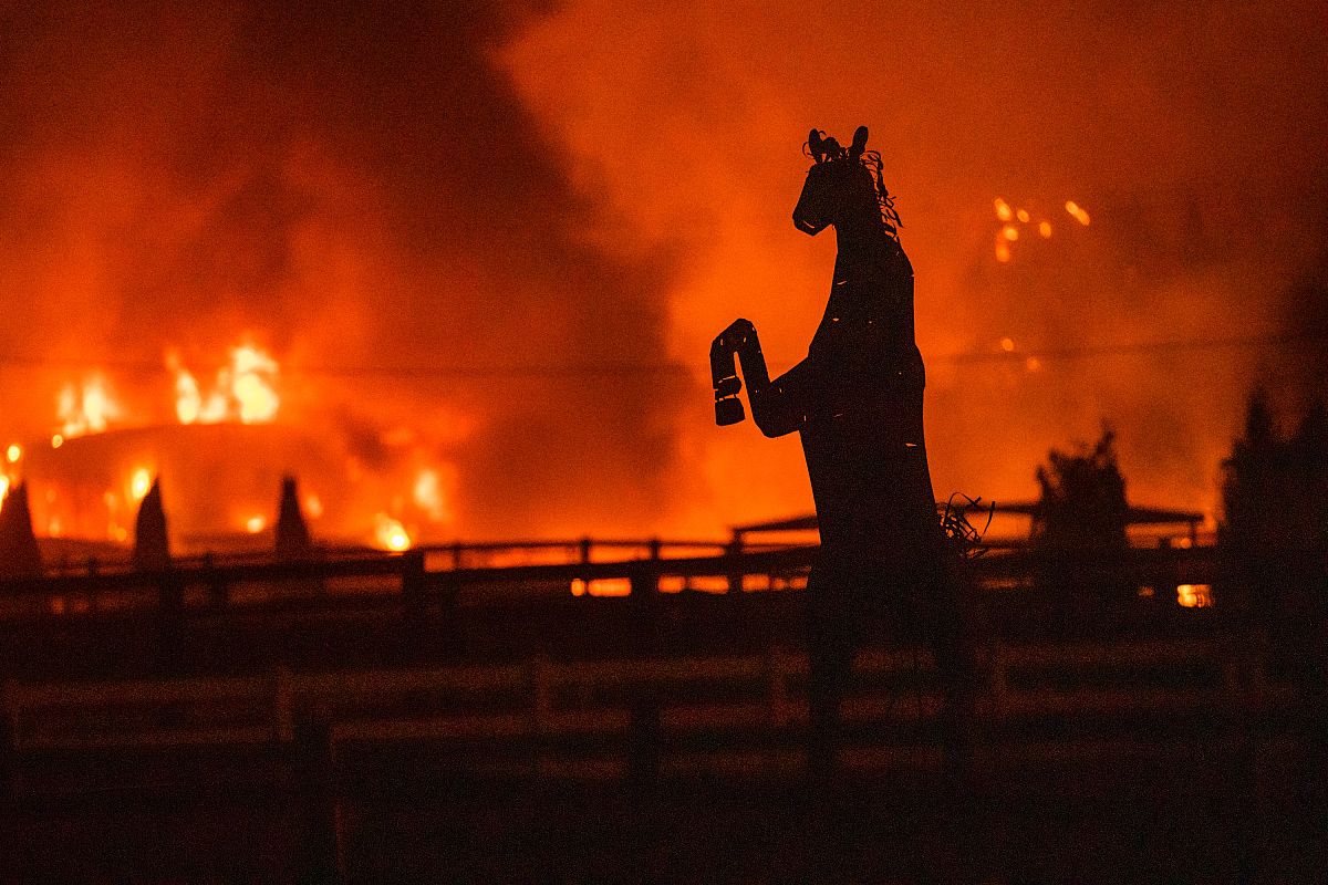 检查以下文字的语法和写作问题：为确定北美森林的火群区类型本研究基于卫星遥感数据分别总结了2001-2021年间北美森林火灾的主要特征：过火面积、火灾回归间隔、火灾烈度、火灾大小和火季长度。使用500 m MODIS火烧迹地数据MCD64A1计算年均过火面积并重采样到025°格点进行后续分析。利用年均过火面积的变异系数Coefficient of Variance确定火灾回归间隔。从1 km MOD
