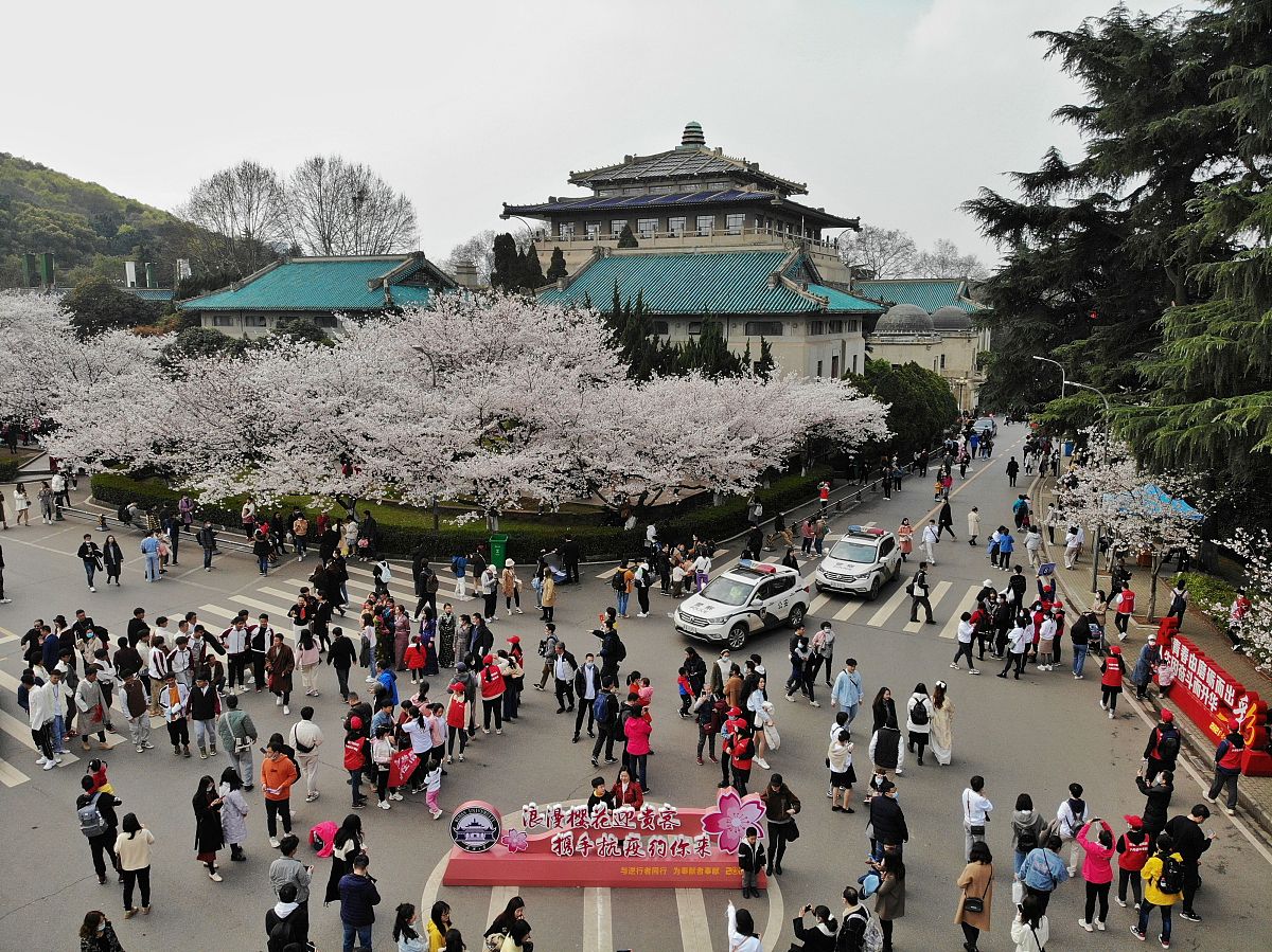 我与武大：一段永恒的缘分，一份无尽的热爱