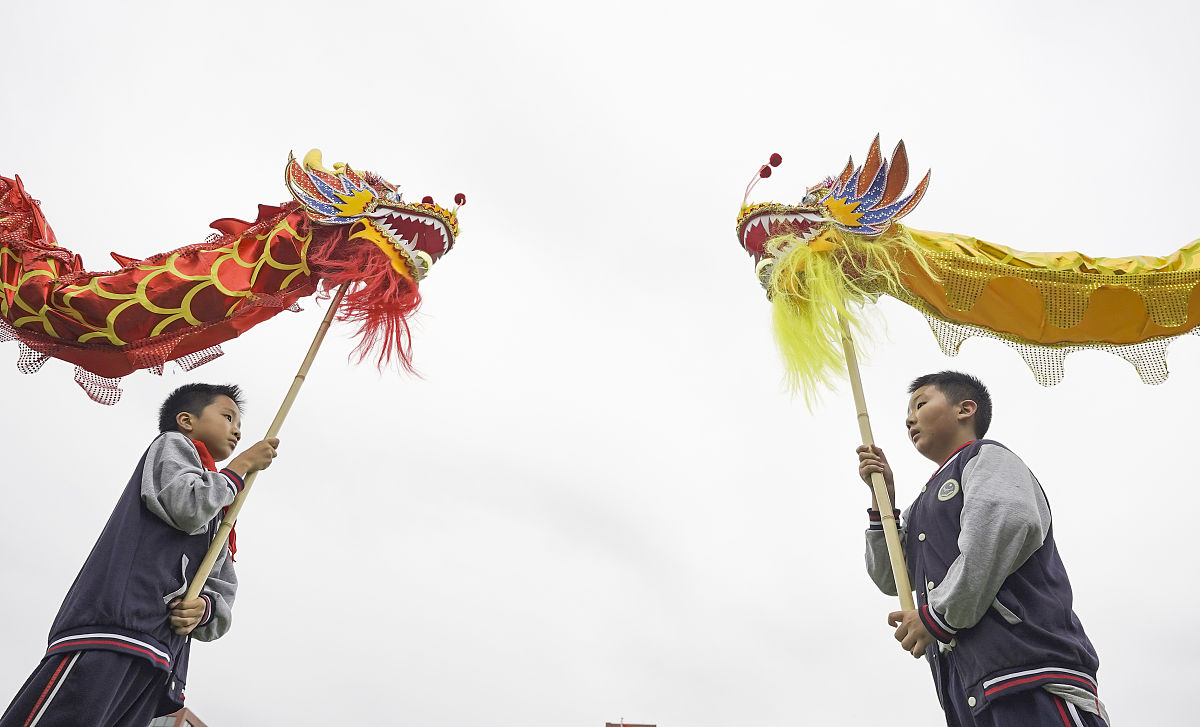 小猫吃食的可爱瞬间：观察动物进食的仿写练习