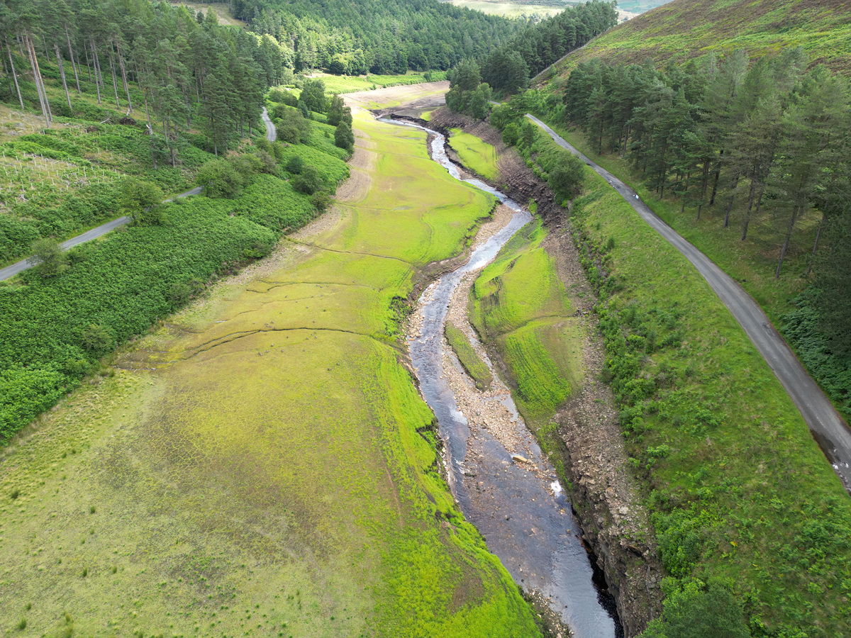 在水土保持中植被恢复的必要性