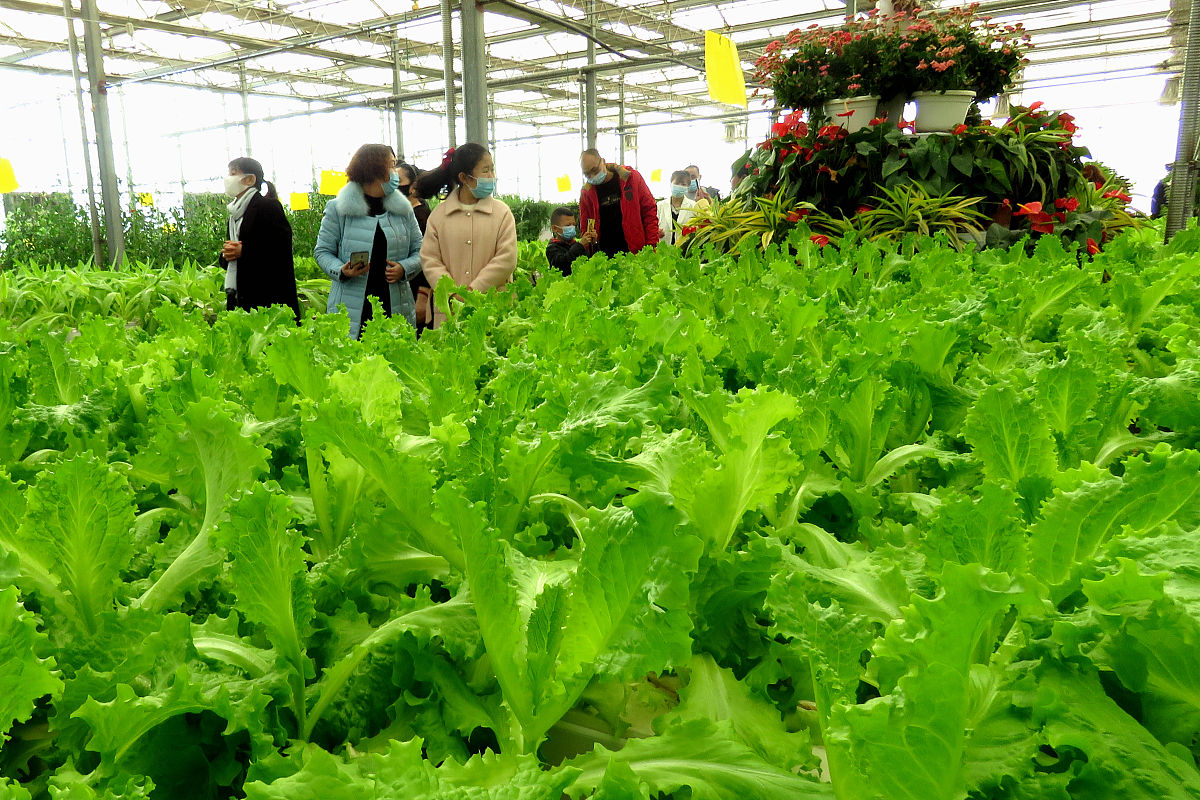 安徽省农业广播电视学校2021年招生条件：申请指南及准备事项