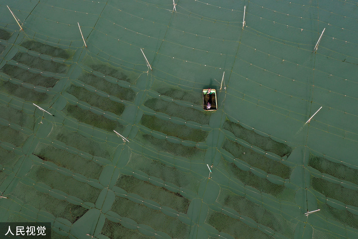 请写一段关于在恶劣天气比如有雾情况下对无人机和船舰目标跟踪识别的跟踪效果