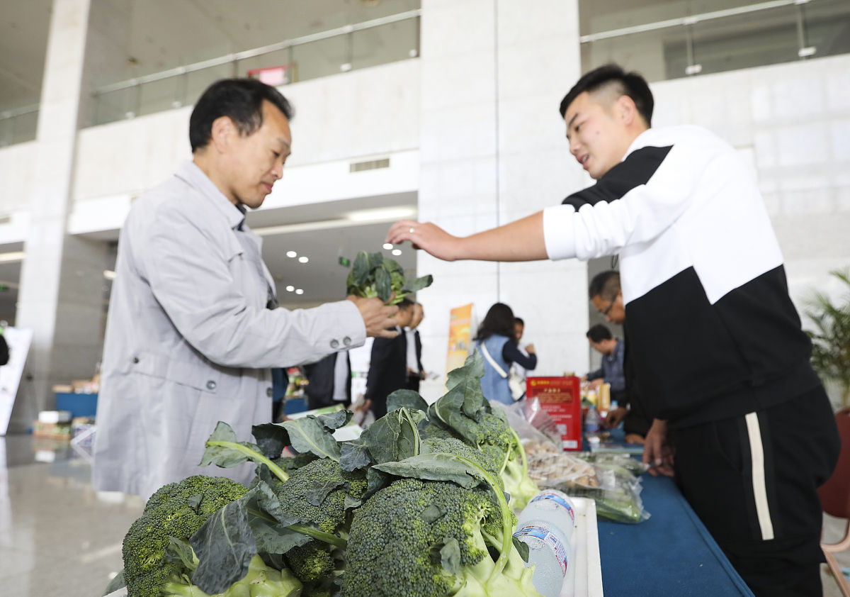 在农产品公司里按照这个模板扩展：一、本周主要工作内容 1 2 3二、本周实习收获 1 2 3三、发现不足及改进措施 1 2 3