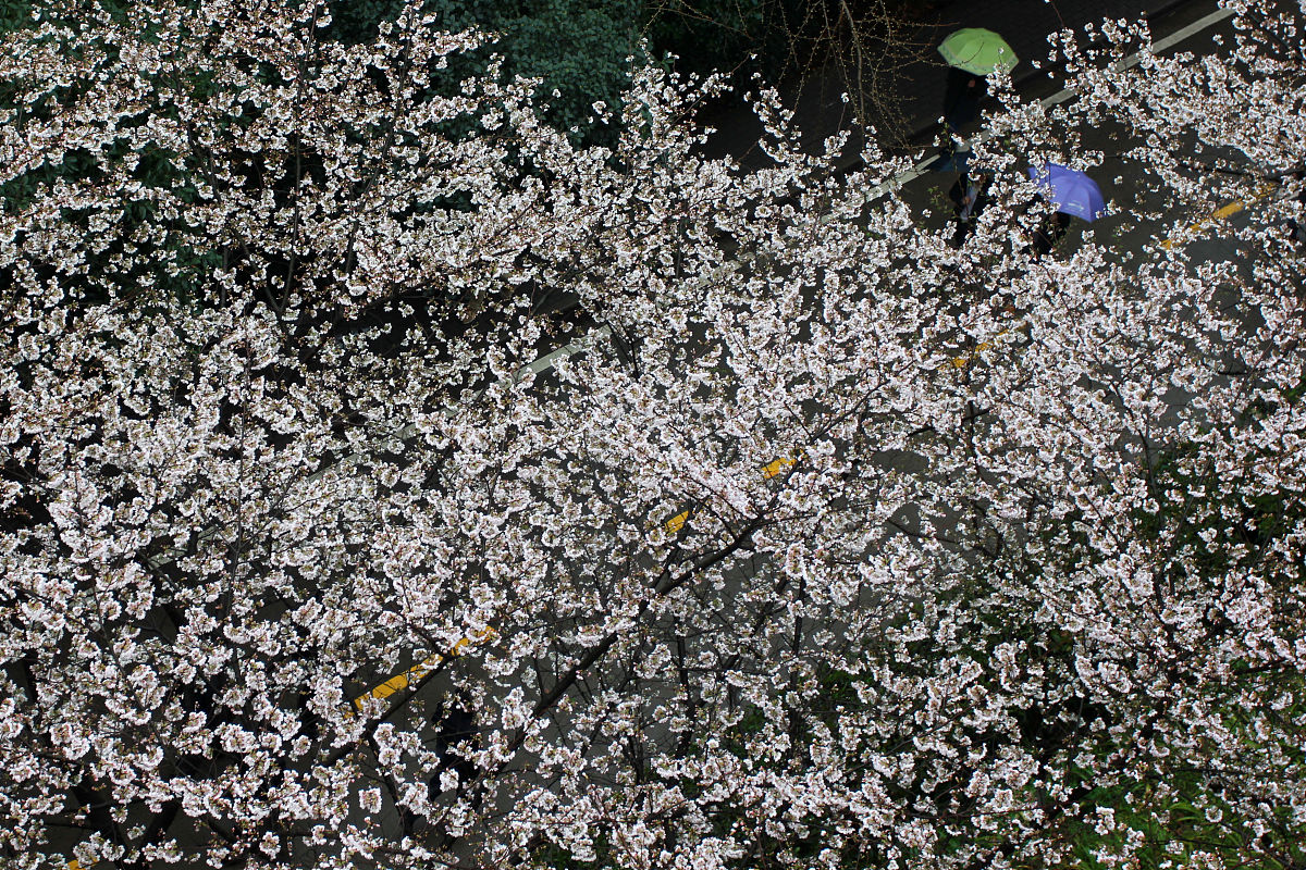 许昌职业技术学院附属中专2023年来校路线指南 - 最新校园路线规划