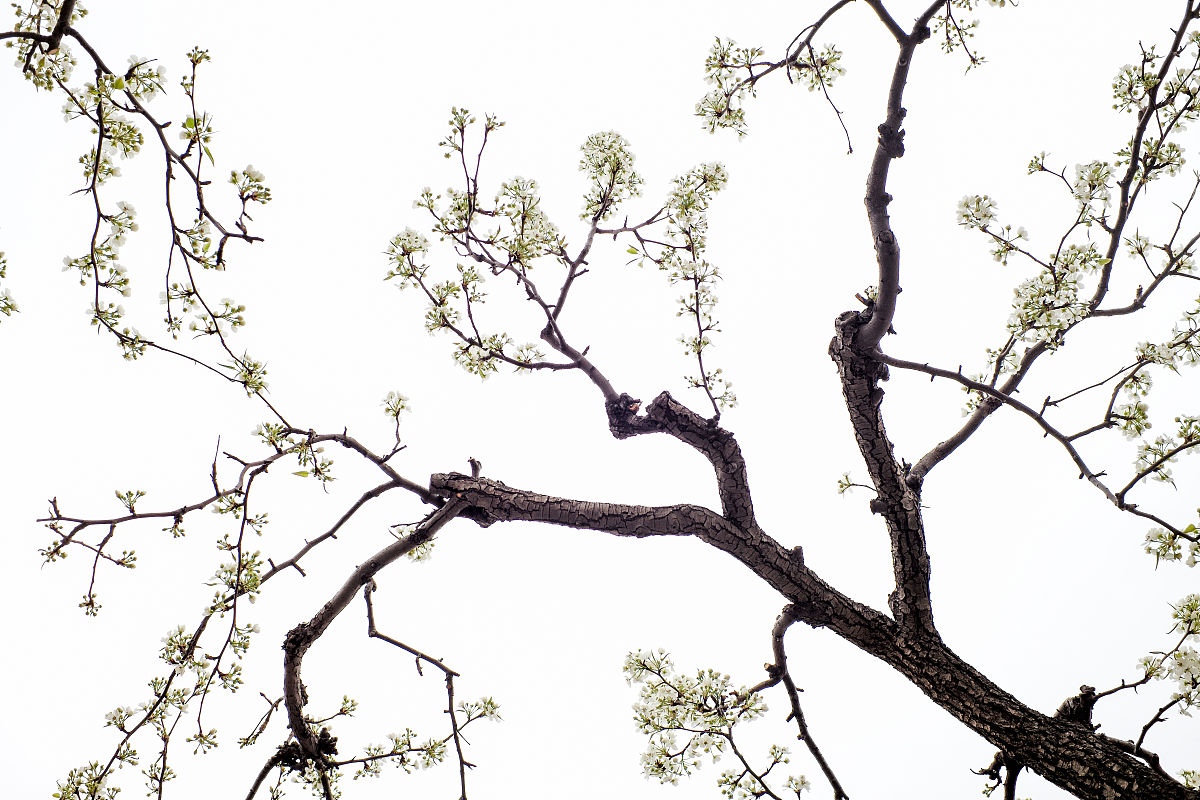 帮我想十个微信ID不是微信昵称。要有含义的不要乱码