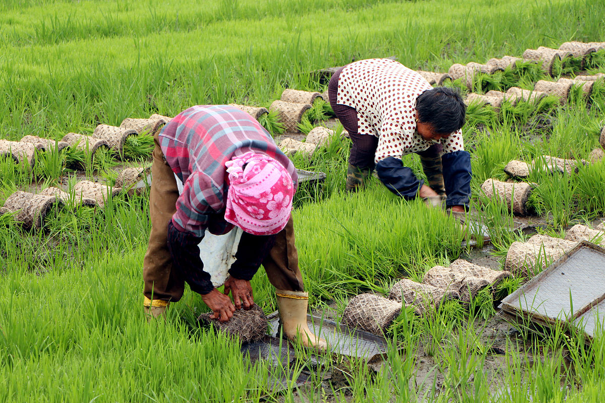 下地劳动心得体会：感受土地力量，体验劳动价值