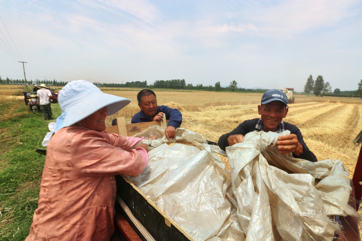 请用论文的语言写出中国畜牧业的地位和重要性500字左右