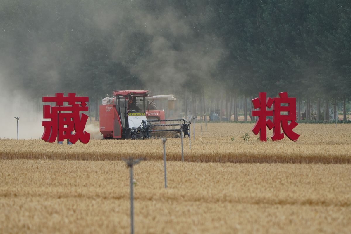 。请结合当地实际情况开展一线调研反映种粮户对地力保护补贴、生产者补贴、农资价格补贴、农机购置补贴、完全成本保险等主要粮食生产支持政策的评价上报一篇综合信息并提出进一步优化政策的期盼诉求。