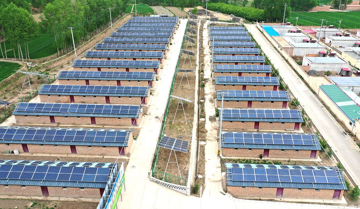 青海省青稞和牛羊肉交易中心：建设投入与经费保障策略