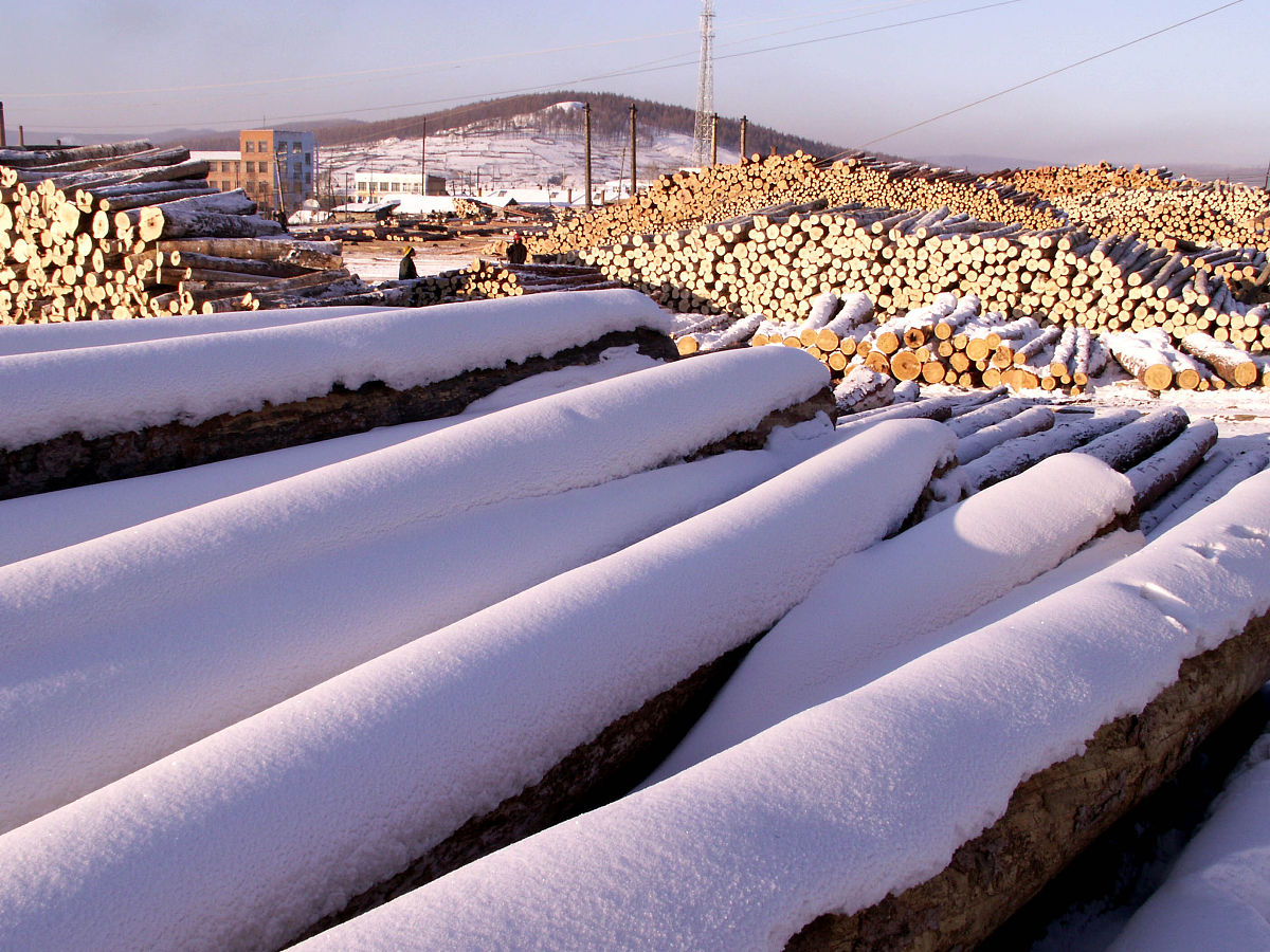 贵州林业学校的联系方式