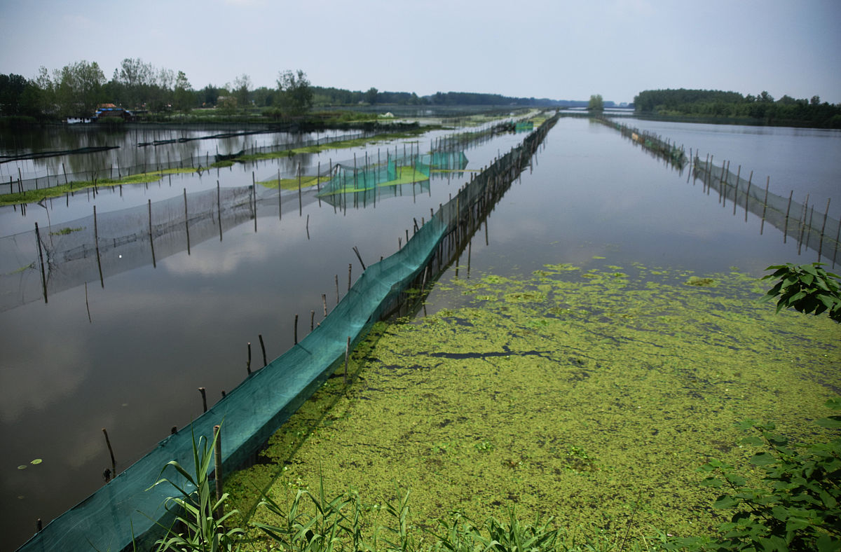 水产绿色养殖技术培训开班动员会上的讲话