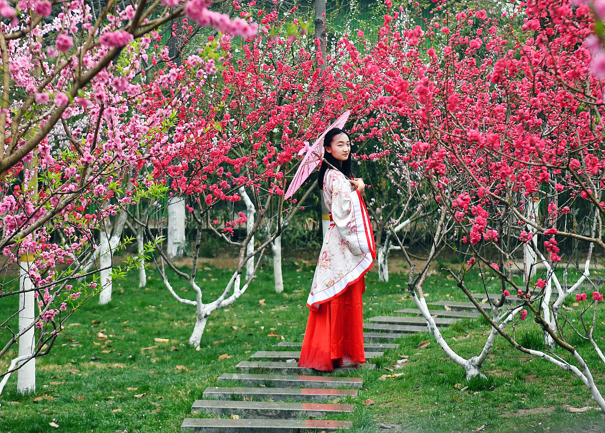 江南的春雨 作文