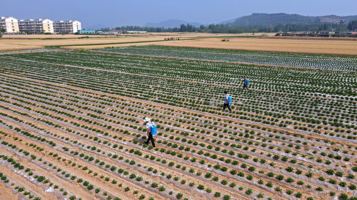 开展基地种养结合项目试点的措施与意义