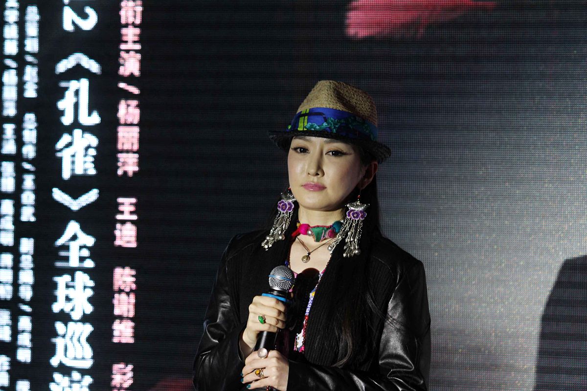 理塘丁真：藏族歌手的音乐魅力与公益之心