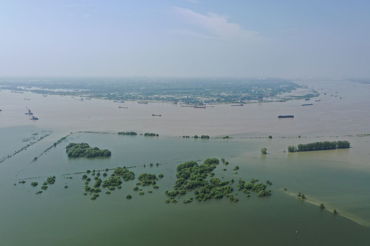 基于无人机的水环境自主检测系统项目书