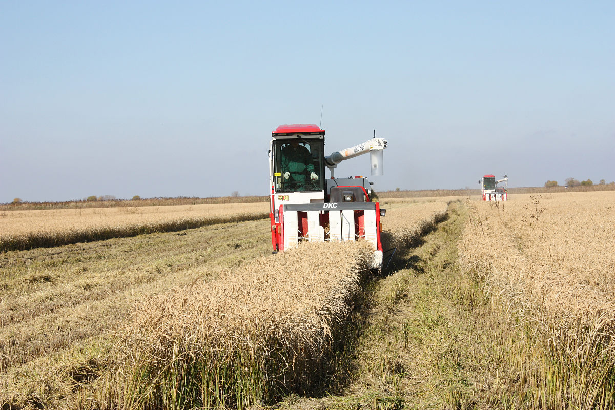重庆农业机械化学校2021年专业有哪些招生要求