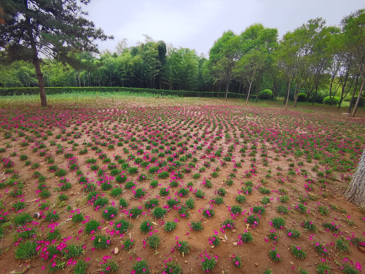 渭河生态区一级管控区和实行产业准入清单制度。