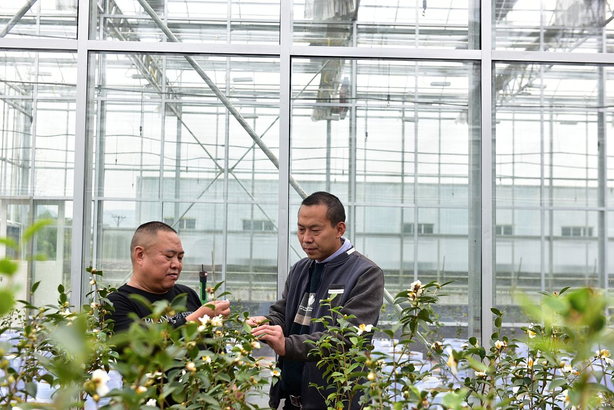 重庆轨道交通专业大专院校推荐 - 2021年最新排名