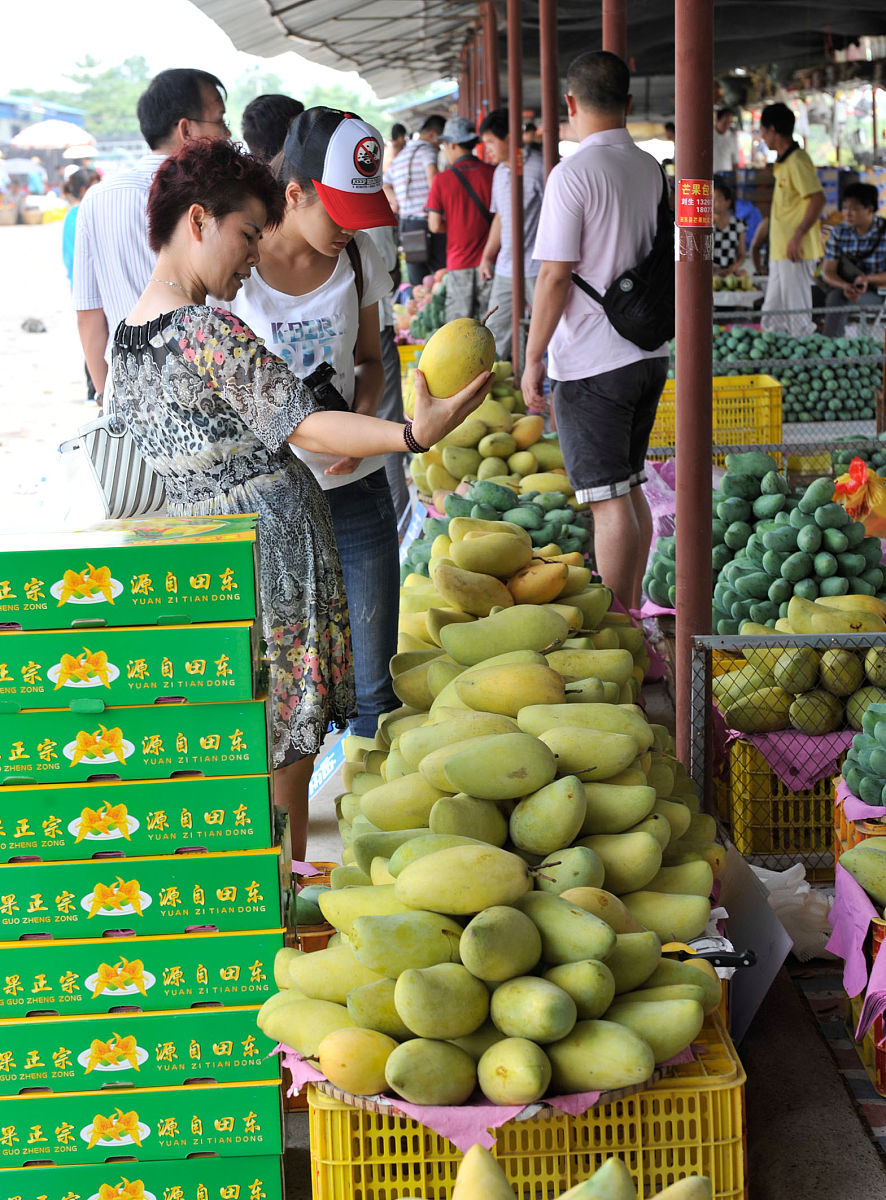 阐述300字：百色芒果田东芒果文化节旅游开发应当完善品牌形象和市场营销体系