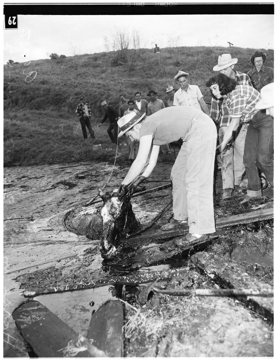 将下列英文翻译为中文段落要求语句通顺意思准确：Sarin a man-maae1ast-ao1gdeveloped in toxic nerve agent was originally developed in Germany in 1938 to be used as a pesticide But according to the US Centers for Disease Control