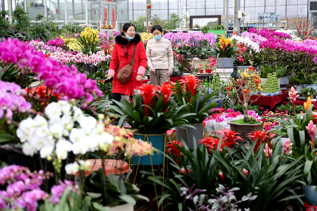 昆明农业学校2022年园艺(商品花卉方向)专业招生简章