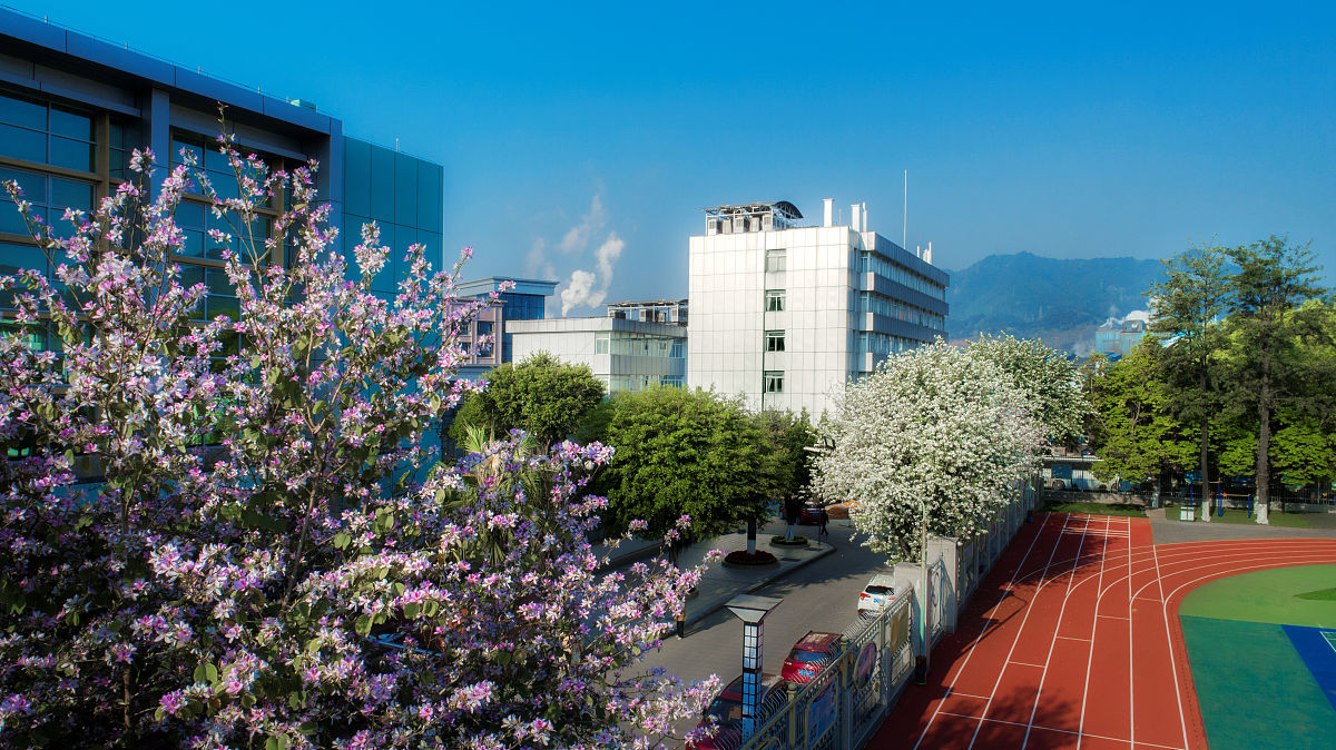 重庆市奉节职业教育中心计算机应用专业优势及发展前景