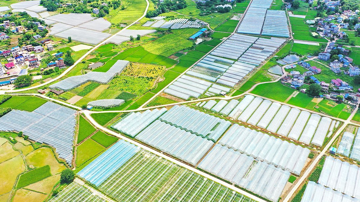 农村经济发展研究：动力、模式与政策措施